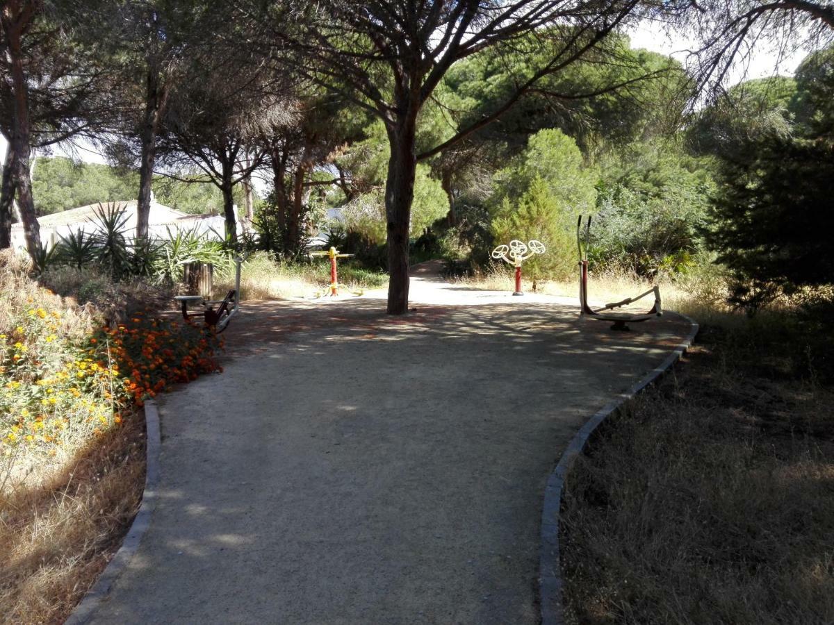 Apartamento En Los Patios De Santa Maria Golf Marbella Zewnętrze zdjęcie